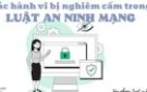 tuyên truyền những hành vi bị cấm trong Luật An ninh mạng gắn với Luật Dân sự, có thể khởi tố hình sự