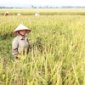 Tổng kết công tác hoạt động 6 tháng đầu năm Huyện Nông Cống